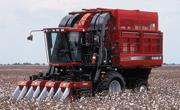 Cotton Harvesting